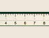 Large Print Ruler