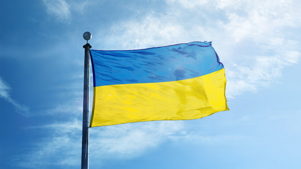 Ukrainian Flag