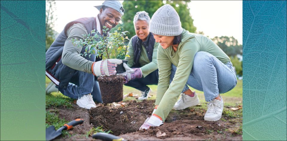 People planting seeds in the ground