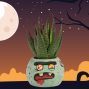 Activity: Faux Succulent Zombie Planter