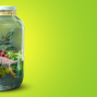 Workshop: Dinosaur Terrariums