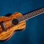 Workshop: Beginner Ukulele Lessons