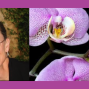 Presentation: Growing Orchids – Tips for the San Francisco and Bay Area Climate