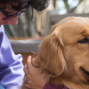 Social: Therapy Pet at the Library