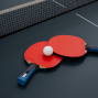 Activity: Table Tennis and Ping Pong