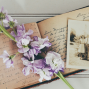 Workshop: Memoir Writing