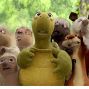 Film: Over the Hedge