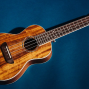 Workshop: Beginner Ukulele, Part 1