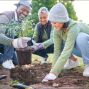 People planting seeds in the ground